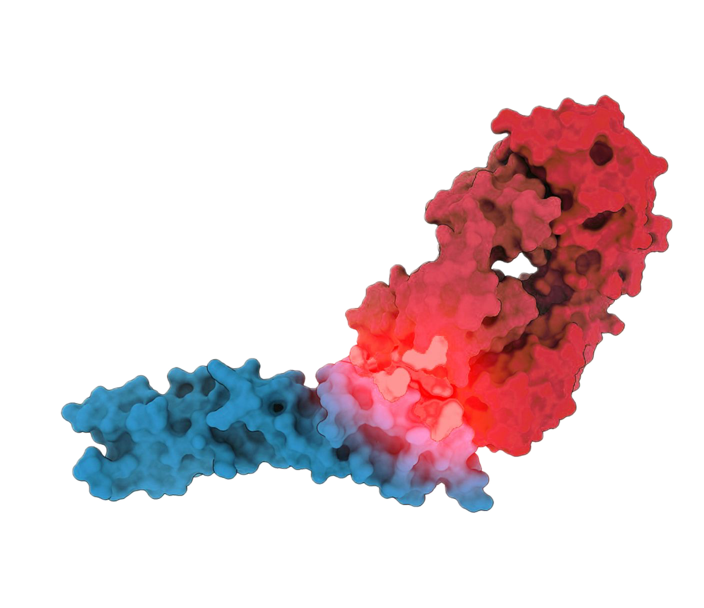 ProtXplain, protein R&D platform
